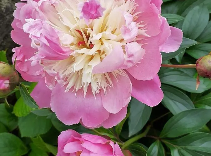 Casa Giulia Apartman