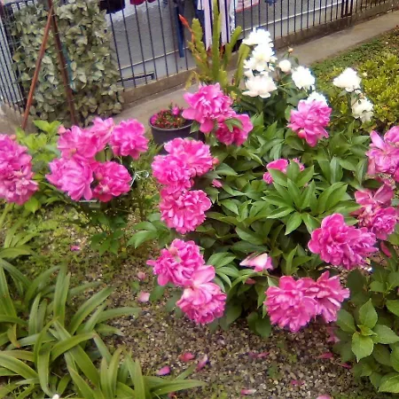 Casa Giulia * Леванто