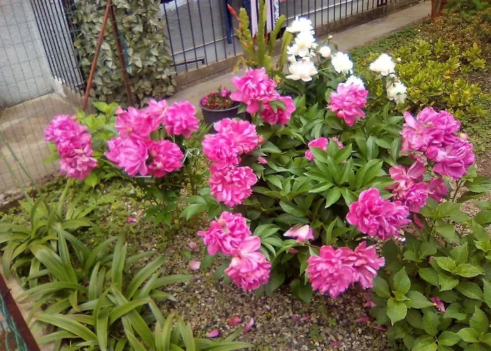 Casa Giulia * Levanto